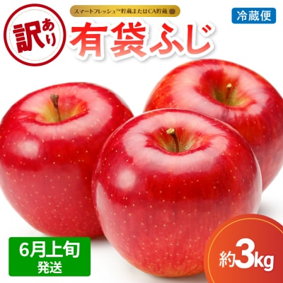 【2026年6月上旬発送】【訳あり】りんご3kg有袋ふじ スマフレTM貯蔵またはCA貯蔵・クール便