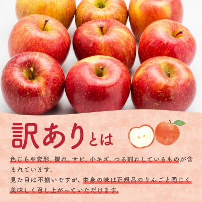 【2026年6月上旬発送】【訳あり】りんご3kg有袋ふじ スマフレTM貯蔵またはCA貯蔵・クール便