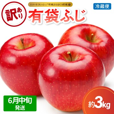 【2026年6月中旬発送】【訳あり】りんご3kg有袋ふじ スマフレTM貯蔵またはCA貯蔵・クール便