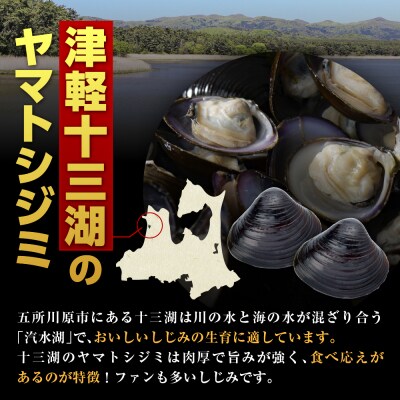 貝活源G2箱&シジミエキス21　100ml×40本(十三湖産ヤマトシジミ使用)