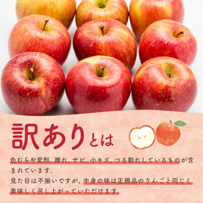 【2026年6月下旬発送】【訳あり】りんご3kg有袋ふじ スマフレTM貯蔵またはCA貯蔵・クール便