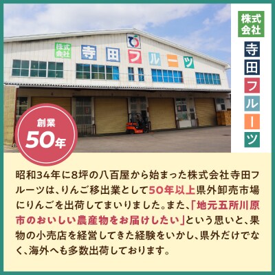  【2026年7月後半発送】 青森県産 スイカ 大玉 1玉 秀品【先行受付】