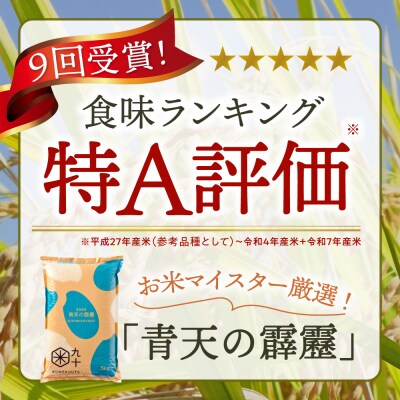 【定期便 6ヶ月】 米 青天の霹靂 10kg 青森県  米定期便6回 10kg×6回