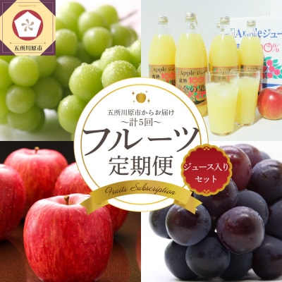 【7月発送開始】フルーツ定期便 5回 りんごジュース入り【訳あり】メロン ぶどう マスカット