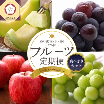 【7月発送開始】フルーツ定期便 5回 食べきりセット【訳あり含む】メロン ぶどう マスカット りんご