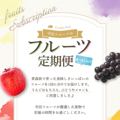 【7月発送開始】フルーツ定期便 5回 食べきりセット【訳あり含む】メロン ぶどう マスカット りんご