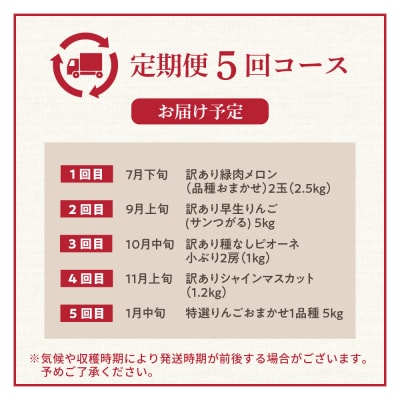 【7月発送開始】フルーツ定期便 5回 食べきりセット【訳あり含む】メロン ぶどう マスカット りんご