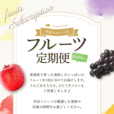 【7月発送開始】フルーツ定期便 5回 よくばりセット【訳あり】メロン ぶどう マスカット りんご