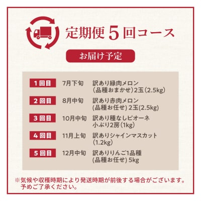 【7月発送開始】フルーツ定期便 5回 よくばりセット【訳あり】メロン ぶどう マスカット りんご
