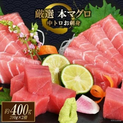まぐろ 本マグロ背トロ 約400g(200g×2柵) [20563371]