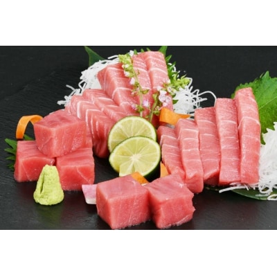まぐろ 本マグロ背トロ 約400g(200g×2柵) [20563371]