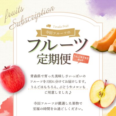 【8月発送開始】フルーツ定期便 5回 りんごモリモリセット【訳あり】メロン マスカット りんご
