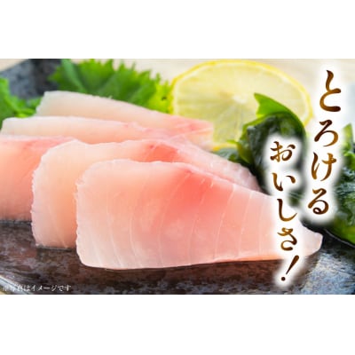 特撰 トロビンチョウ 300g [川印 20563396]