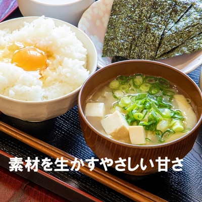 合わせみそ&米みそセット 600g×各2パック(計4パック)【JAむなかた直販課】_HA2005