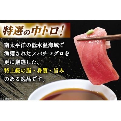 特撰 中トロマグロ(メバチマグロ)1柵 150g [川印　村田漁業 20563398]
