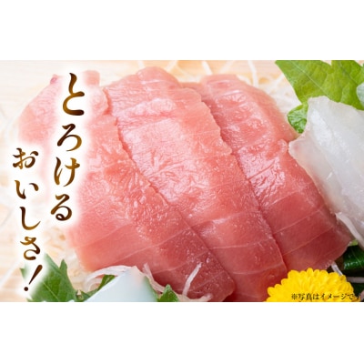 特撰 中トロマグロ(メバチマグロ)1柵 150g [川印　村田漁業 20563398]