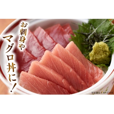 特撰 中トロマグロ(メバチマグロ)1柵 150g [川印　村田漁業 20563398]