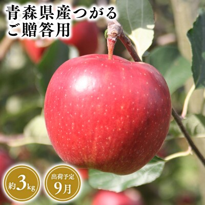 9月発送　贈答用つがる3kg　【そと川りんご園・9月・りんご・つがる・3kg】