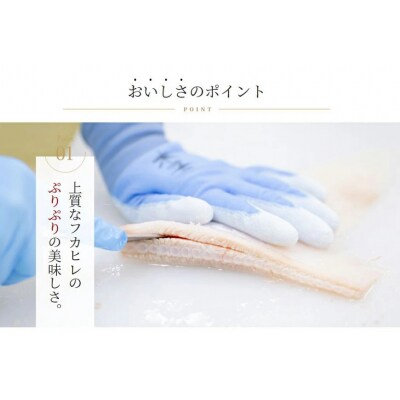 濃縮ふかひれスープ　5袋セット [石渡商店 宮城県気仙沼市 20563406]