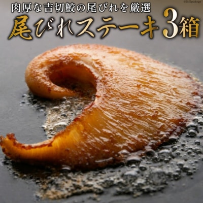 【TVで紹介】ふかひれステーキ3箱 [石渡商店 宮城県 気仙沼市 20563459]