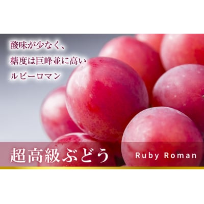 超高級 ぶどう ルビーロマン 1房 約700g 化粧箱入 [モアショップヤマモト 38600189]