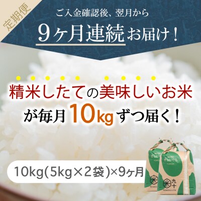 【定期便 9ヶ月】 米 10kg まっしぐら 青森県産 (精米) 定期便9回 10kg×9回
