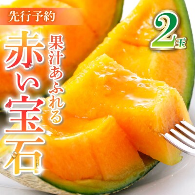 <先行受付>産地直送!北海道『いわみざわメロン2玉(赤肉)』2026年夏にお届け!