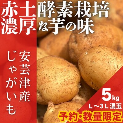 【予約商品】安芸津のじゃがいも　5kg【配送時期:7月上旬～下旬    】