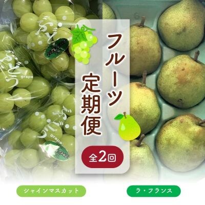 【定期便:全2回】<ご家庭用>シャインマスカット1.5kgとラ・フランス3kg　0049-2602