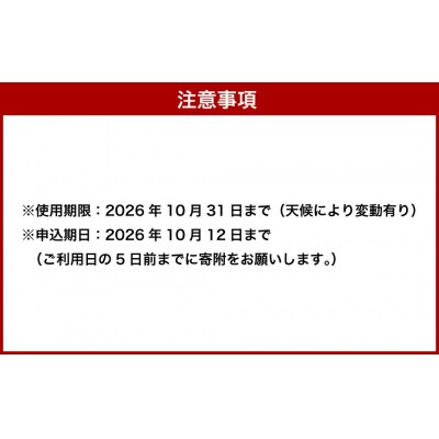 【1名分】阿寒湖温泉 電動アシスト 自転車レンタル4時間 アクティビティ 北海道