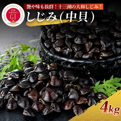 十三湖産 大和しじみ(中貝)4kg(冷凍・砂抜き済)