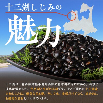 十三湖産 大和しじみ(中貝)4kg(冷凍・砂抜き済)
