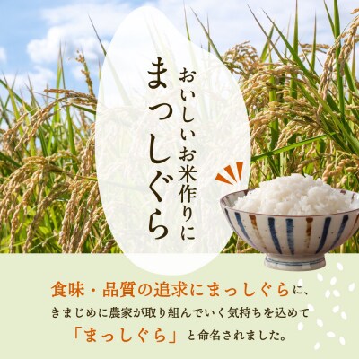 青森県産 無洗米 10kg まっしぐら (精米) 