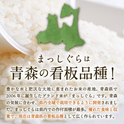【定期便 3ヶ月】 無洗米 10kg まっしぐら 青森県産  定期便3回 10kg×3回