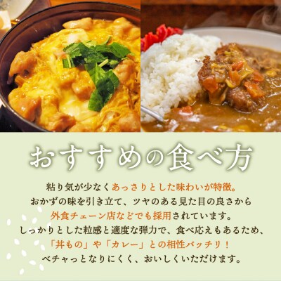 【定期便 3ヶ月】 無洗米 10kg まっしぐら 青森県産  定期便3回 10kg×3回