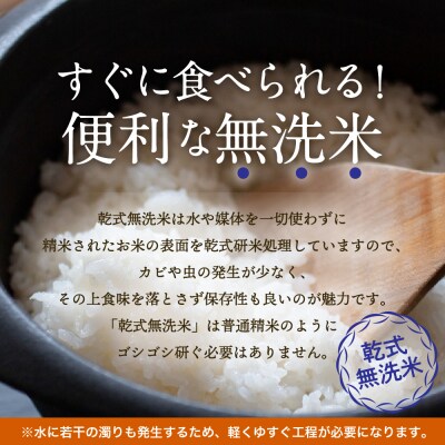 青森県産 無洗米 10kg はれわたり (精米) 特A
