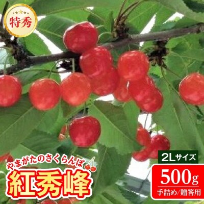 さくらんぼ(紅秀峰)500g　特秀品　2Lサイズ　手詰め　0069-2608