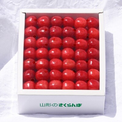 さくらんぼ(紅秀峰)500g　特秀品　2Lサイズ　手詰め　0069-2608
