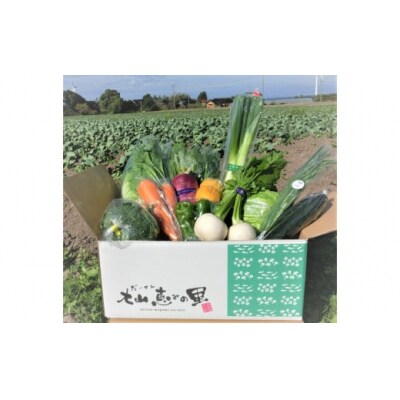 新鮮朝採れ野菜セット