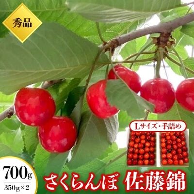 さくらんぼ(佐藤錦)350g×2パック　手詰め　0049-2604