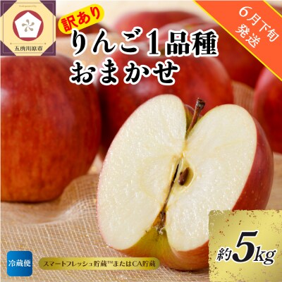 【2026年6月下旬発送】【訳あり】りんご約5kg 青森産【おまかせ1品種】スマフレTM・CA