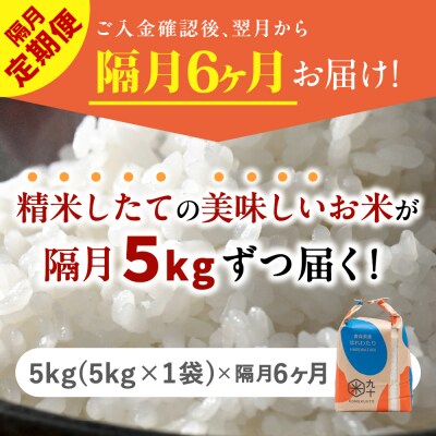 【定期便 隔月6回】 米 5kg はれわたり 青森県産 (精米) 定期便6回 5kg×6回