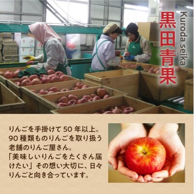 りんご ふじ 丸福 約5kg【2026年6月前半発送】CA貯蔵 有袋ふじ