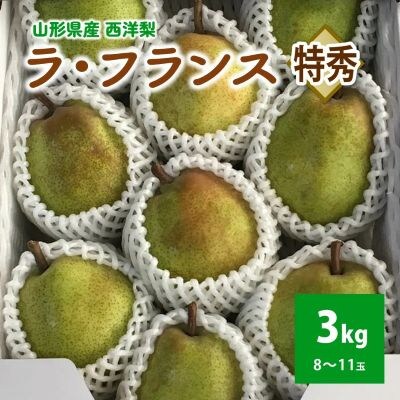 西洋梨(ラ・フランス)3kg　8～11玉　特秀品　化粧箱入　0049-2611