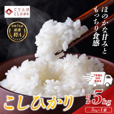令和7年産 コシヒカリ 【 精米 】 5kg