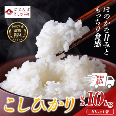 令和7年産 コシヒカリ 【 精米 】 10kg