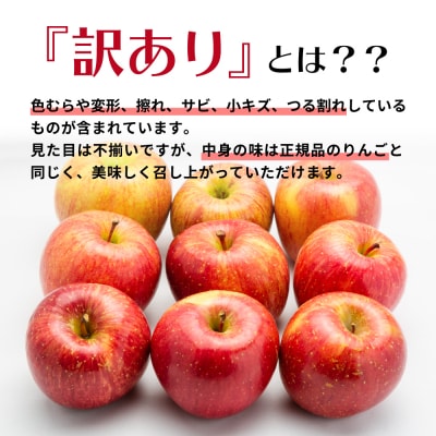 【2026年6月中旬発送】【訳あり】りんご約3kg 青森産【おまかせ1品種】スマフレTM・CA