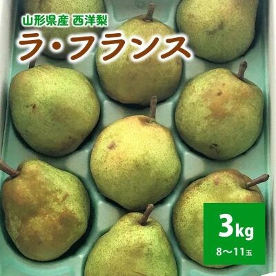 西洋梨(ラ・フランス)3kg　8～11玉　ご家庭用　0049-2610