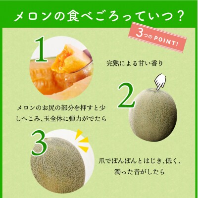 【2026年7月後半発送】 メロン2玉入り 大玉 緑肉 最高等級秀品 東日流グリーン 青森産