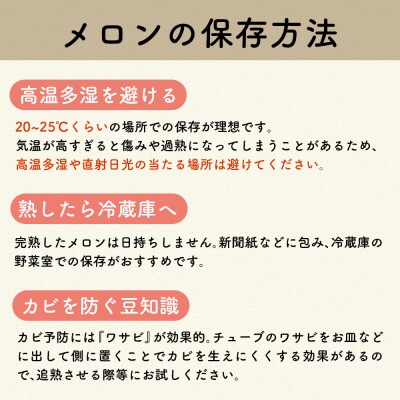 【2026年先行受付】【2026年7月後半発送】青肉 メロン 約 5kg 秀～優 ( 3～6玉 )